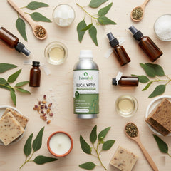 Pure Eucalyptus Oil for Henna Artist | 1000ml Pack