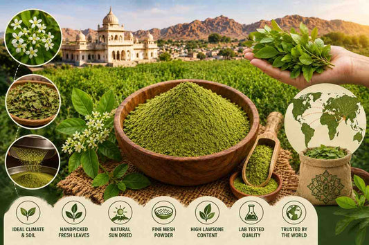 Why Sojat Henna is Considered the World's Finest Henna