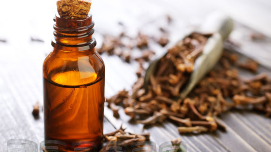 Exploring the Benefits of Clove Oil in Henna Art